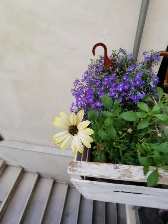 Casuzzamia Apartment Palermo